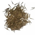 thumbnail image 4 of 100+ Giant Bamboo Seeds – Fast Growing Bamboo Tree Seeds for Planting, Tall Privacy Bamboo for Garden, Backyard & Landscaping, 4 of 5