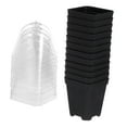 thumbnail image 3 of LABSERRON Square Plastic Planter Black For Plant Enthusiasts Cuttings 10Pcs 3.14X2.63X2.63in, 3 of 10