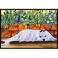 thumbnail image 1 of Carolines Treasures SS8248MAT Tapis Intérieur Extérieur 18 x 27 Po. Maltese, 1 of 4