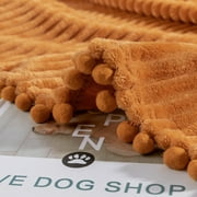 DISSA Flannel Fleece Blankets with Pompom Fringe Lightweight Soft Throw Blanket Fit Sofa Bed(Orange,51x63)