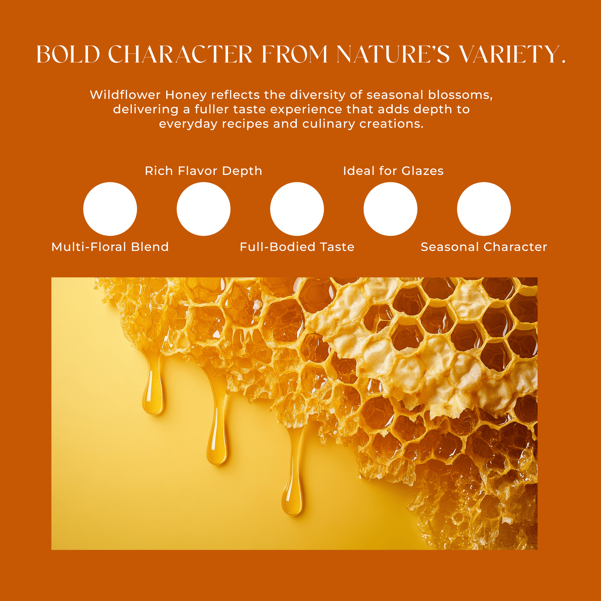6 Packs of Wildflower Honey - 100% Natural Honey (12 Oz Each)