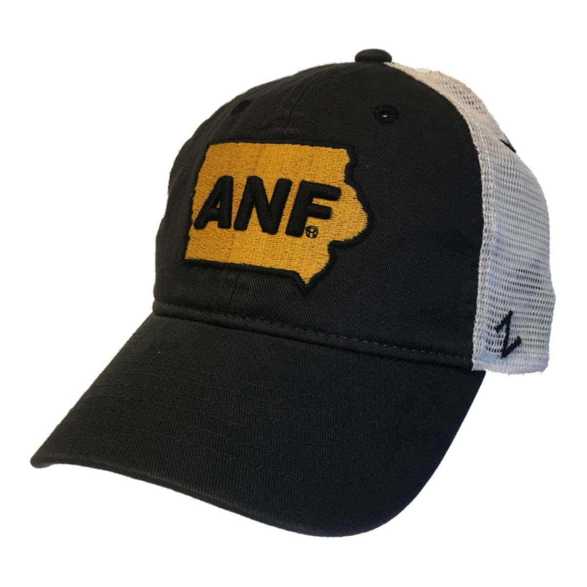 iowa hawkeyes anf hat