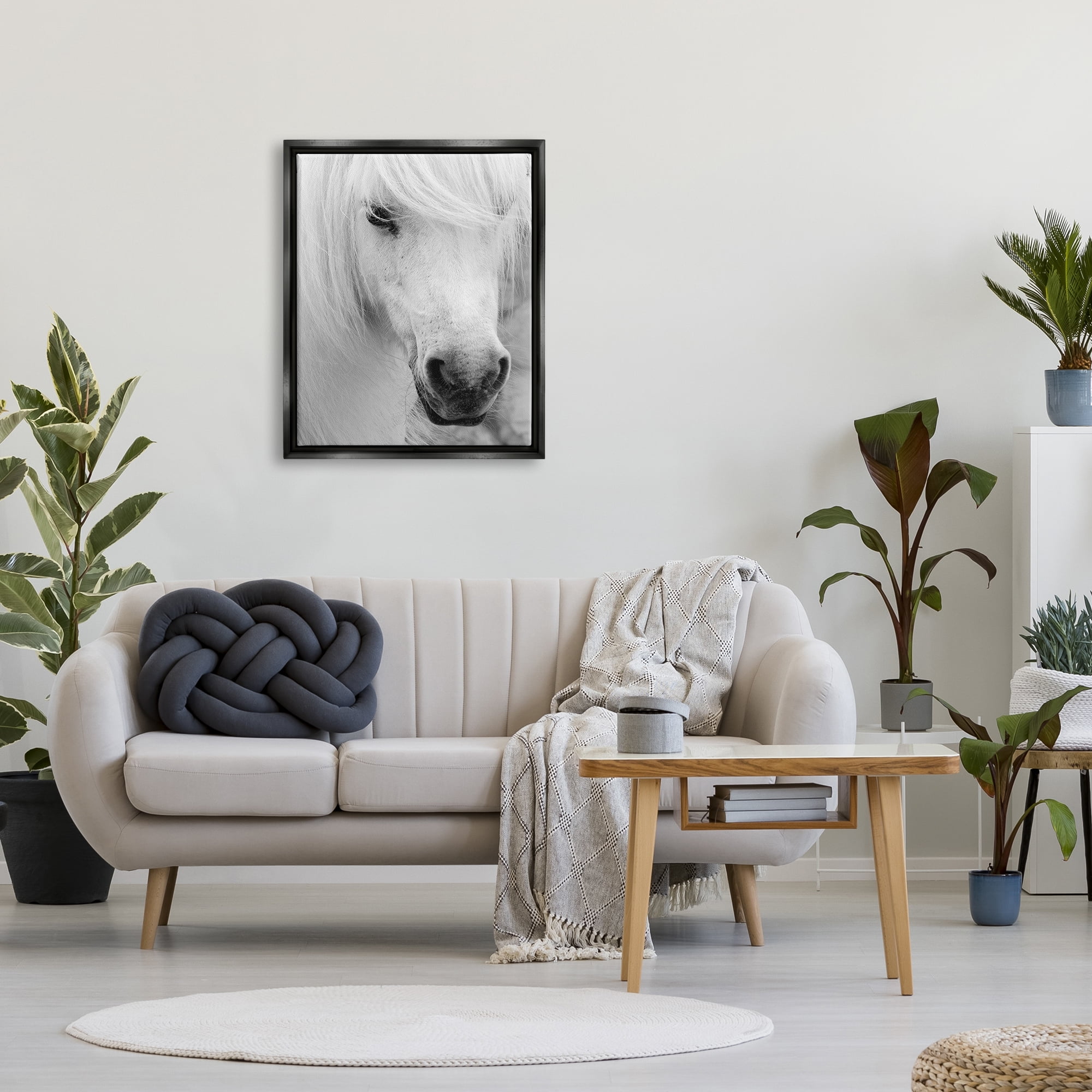 Stupell Industries White Horse Close Up Animals & Insects Photography Black Floater Framed Canvas Art Print Wall Art, 25 x 31