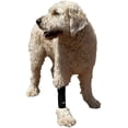 thumbnail image 4 of Labra Extra Supportive Dog Canine Front Leg Metal Spring Compression Brace Wrap Sleeve Protects Wounds Brace Heals and Prevents Injuries and Sprains Helps with Loss of Stability Caused by Arthritis…, 4 of 5