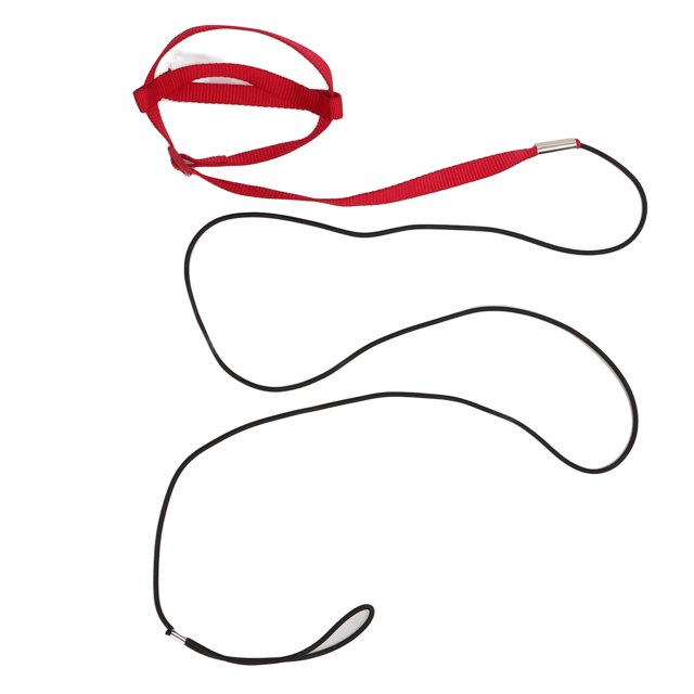 Corde d'Entraînement de Vol Ajustable, Légère, Se Boucle Facilement, Conception Portable avec Sangle en Forme de 8, Corde Élastique pour Marcher, Assister à une Fête
