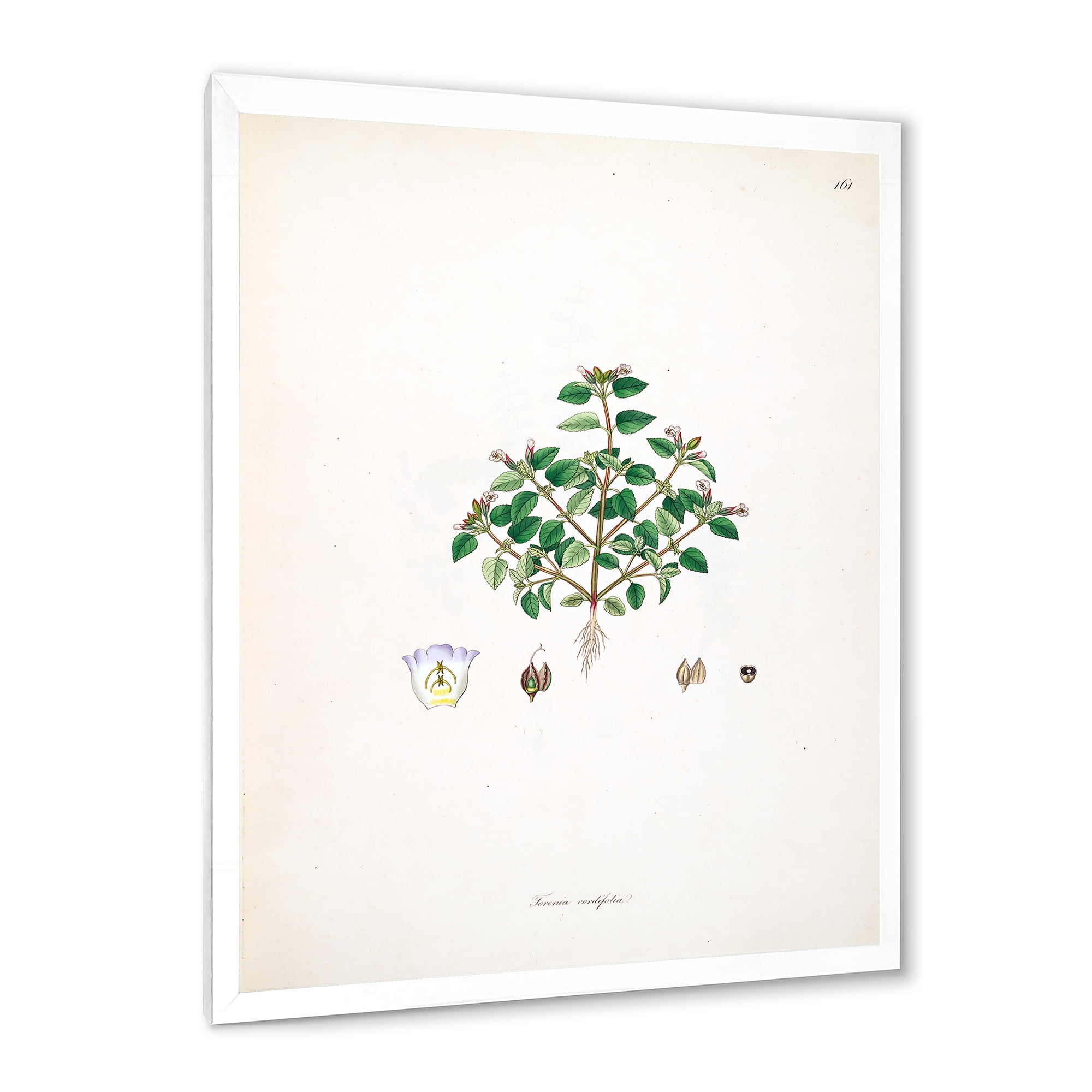 Designart 'Ancient Plant Life XIII' Farmhouse Framed Art Print