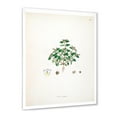 thumbnail image 2 of Designart 'Ancient Plant Life XIII' Farmhouse Framed Art Print, 2 of 4
