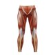 thumbnail image 4 of Leggings anatómicos de cintura alta ZHAOCHENG para mujer L, 4 of 5