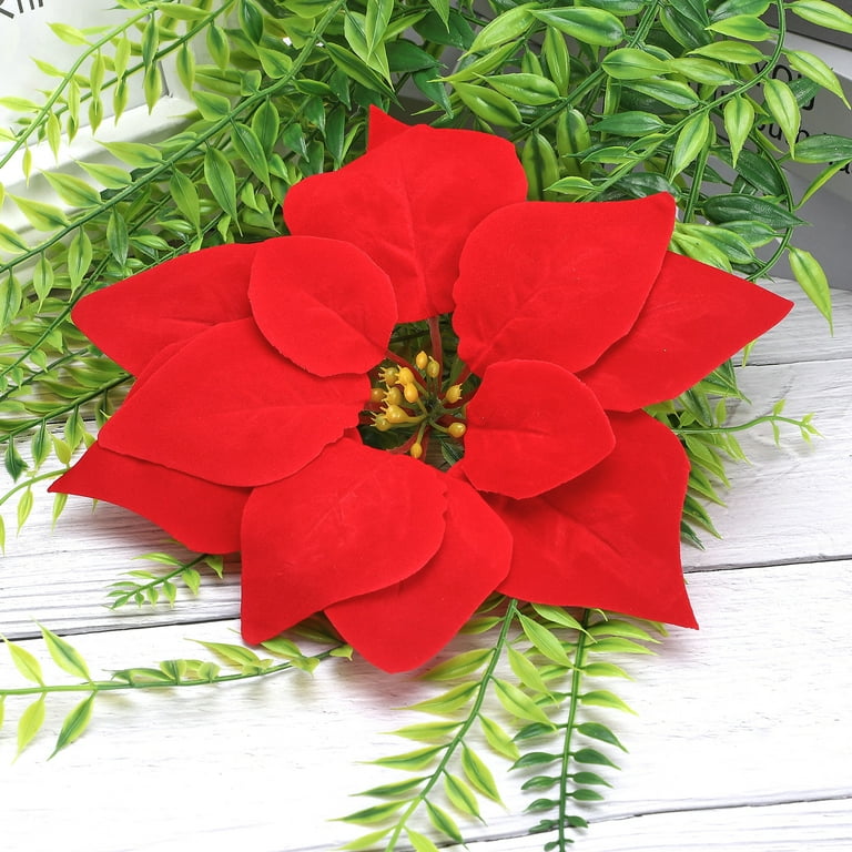 Big red christmas sale flower