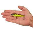 thumbnail image 4 of Berkley Ripfish, 9, Knock Out, 4 of 5