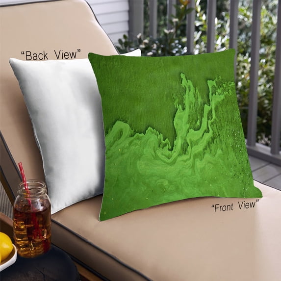 Ahgly Company Color Focus Green Outdoor Throw Pillow, 18 inch by 18 inch