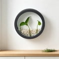 thumbnail image 6 of Wall Planter - Modern Round Hydroponic Wall Vase, Hanging Planter for Herb, Cactus, Balcony & Patio Decor, 6 of 6