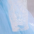 thumbnail image 5 of Kiijoy Girls Bow Lace Long Sleeve Party Dress Baby Birthday Princess Dress, 5 of 5