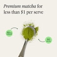 thumbnail image 5 of Morning Made Vanilla Flavored Ceremonial Grade Matcha Powder, Vanilla, 10.6oz (300g) Resealable Tin, 5 of 8