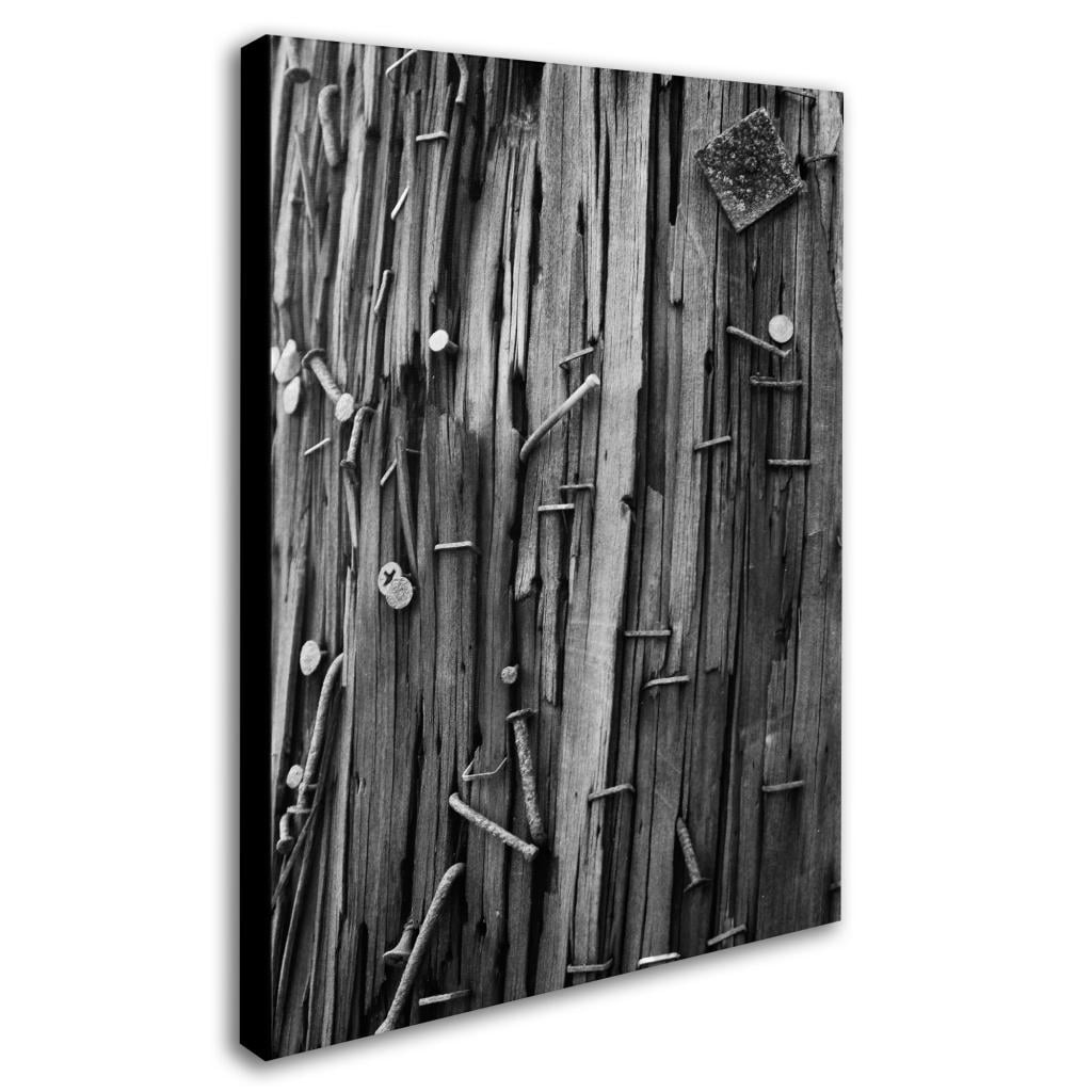 Trademark Fine Art "Nails & Staples" Canvas Wall Art by Patty Tuggle