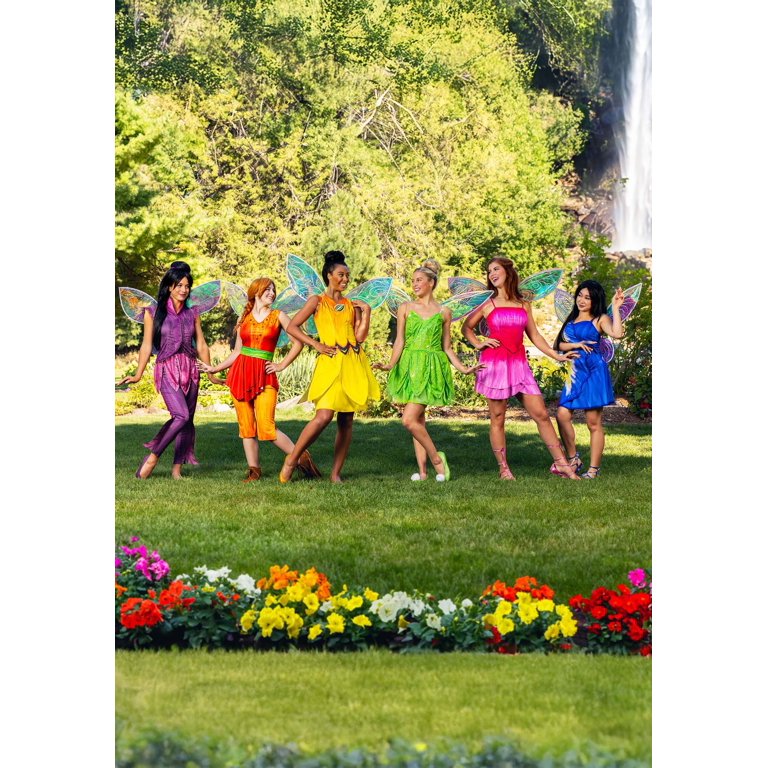 disney fairies rosetta dress Girl's Disney Fairies Rosetta Costume