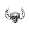 thumbnail image 1 of Vintage Punk Style Angle Wing Skull Broche Pin Halloween Joyería Sunnimix Broche del cráneo, 1 of 7
