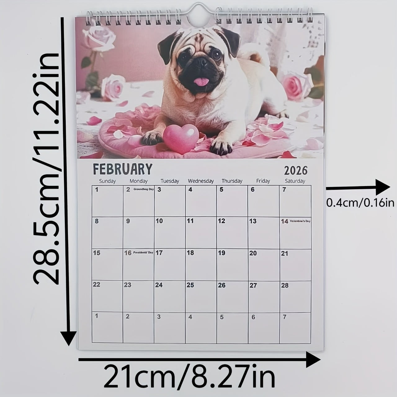Brainybites 2026 Calendar Funny Mini Calendar with Monthly Grids for Appointments and Scheduling - Small Wall Calendar 2026 with Premium Gloss Paper for Home and Office Organization