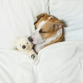 thumbnail image 2 of PiccoCasa Fluffy Fleece Blanket Lightweight Plush Throw Blanket for Couch Sofa Bed, White Pet(30" x 40"), 2 of 6
