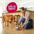 thumbnail image 6 of Kibbles 'n Bits Bistro Oven Roasted Beef, Vegetable & Apple Flavors Dry Dog Food, 45 lb. Bag, 6 of 10