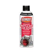Gumout 540040 Advanced Throttle Body & Air Intake Cleaner 11oz