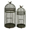 Metal Bird Cage Set Of 2 For Those Who Have Passion For Birds Keeping