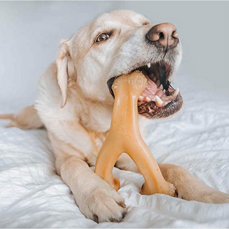 Juguete Masticable Benebone Wishbone Para Perros - Sabor A Pato, Duradero, Tamaño Mediano