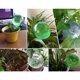 thumbnail image 5 of 6 piezas dispositivo de riego automático globos vacaciones planta de interior maceta bombillas jardín bebedero flor agua goteo dispositivo de riego sistema de riego automático, 5 of 5