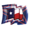 Iron Stop Designer Texas Flag Wind Spinner