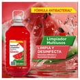 thumbnail image 3 of Limpiador multiusos Aurrera sandia 10 lt, 3 of 4