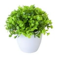 thumbnail image 5 of Artificial Plants Fake Mini Potted Plant Small Greenery Decor for Indoor Home Farmhouse Aesthetic Bedroom Shelf Office Desk Bathroom Decoration, 5 of 8