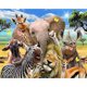 thumbnail image 1 of Cuadros Decorativos Kit de pintura por números DIY animales felices lienzo arte al óleo cuadro decoración del hogar Sywqhk Nuevos Originales, 1 of 9