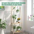 thumbnail image 2 of Decodeary 2pieces Excellent Plant Support For Climbing Plants With Metal Wire Trellis As shown 38*10cm, 2 of 6