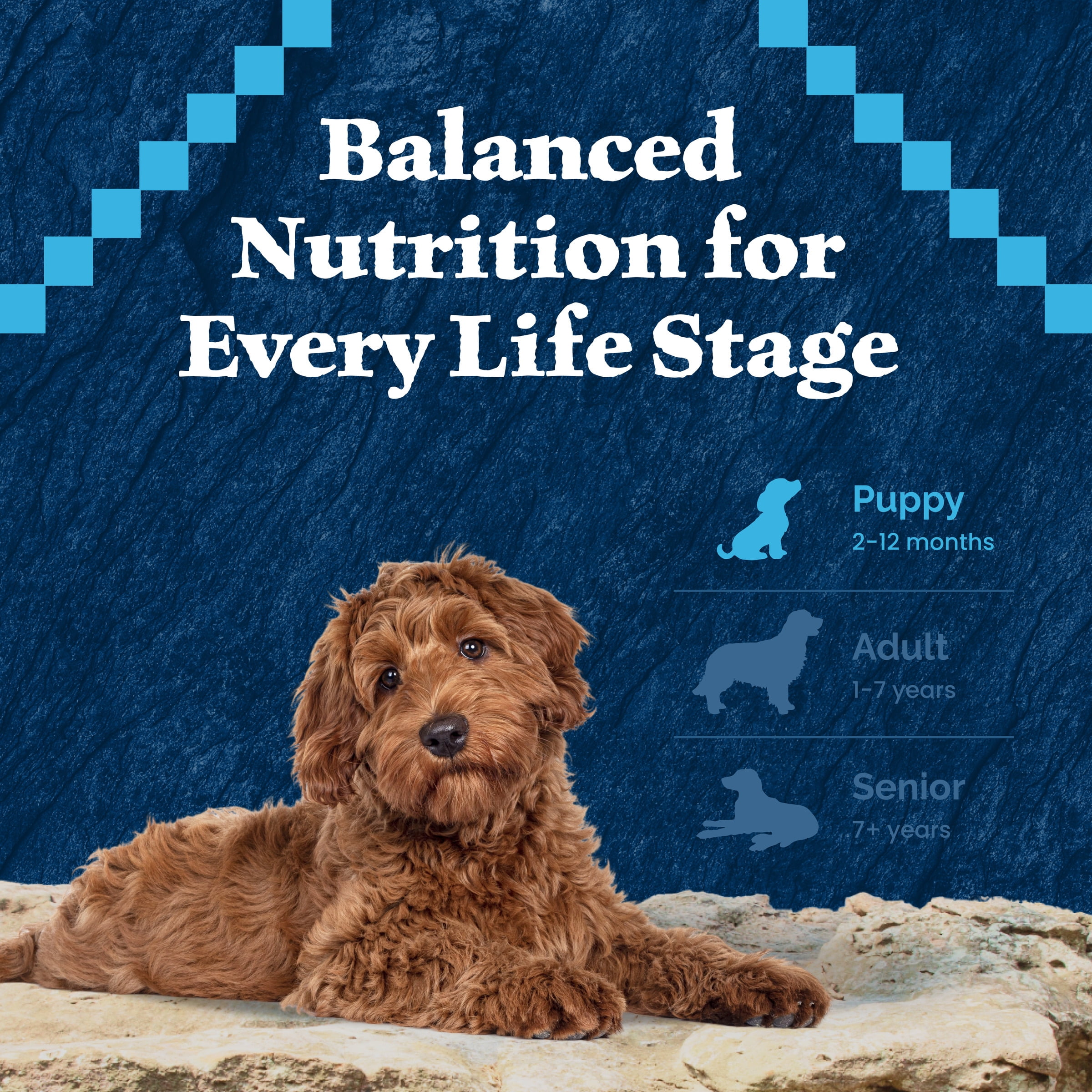 Blue Buffalo Wilderness High-Protein Natural Puppy Dry Food, Chicken Recipe, 28-lb Bag