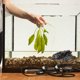 thumbnail image 4 of unbranded Para De Acuario Hecha De Resina Y, 4 of 6