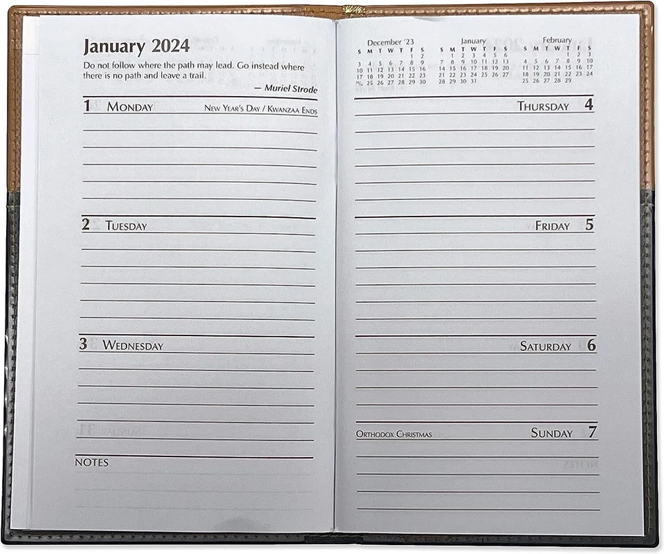 2025 At A Glance Dayminder: Weekly Pocket Calendar & Planner Organizer 3.5" X 6"