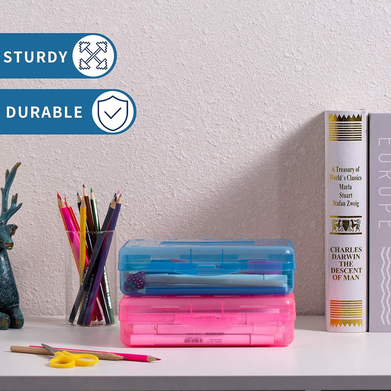 Uiz Merueh Plastic Pencil Box Clear Pencil Case with Lid Bulk Snap Closure Hard Large Capacity Pencil Box Pen Pencil Holder Storage Organizer Box