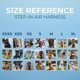 thumbnail image 5 of Arnés para perros Best Pet Supplies Voyager Step-in Air Blue L, 5 of 7