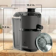 BLACK+DECKER Fruit & Vegetable Juicer Extractor, 400-Watt, Quiet, Black Plastic