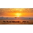 thumbnail image 2 of Tsui, Hung 32x18 White Modern Wood Framed Museum Art Print Titled - Sunrise, 2 of 4