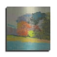 thumbnail image 1 of Luxe Metal Art 'Fox Farm Woods' by Mike Kelly, Metal Wall Art, 24"x24", 1 of 7