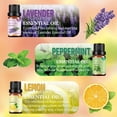thumbnail image 2 of Essential Oils Set \u2013 6x10ml Aromatherapy Oil Collection for Diffusers, Peppermint, Lavender, Eucalyptus, Lemon, Rosemary, Lemongrass \u2013 Diffuser Oil & Huile Essentielle Pour Diffuseur, 2 of 7