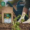 thumbnail image 5 of GAIA GREEN All Purpose Soil Supplement for Resilient Crop Growth, 10 Kilos, 5 of 7