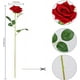 thumbnail image 2 of Ramo de rosas artificiales Yeacher 12 rosas de terciopelo con tallo largo, 2 of 7