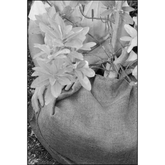 DeWitt 4 x 250 Foot 5.5 Ounce Natural Gardening Landscape Burlap Fabric Roll