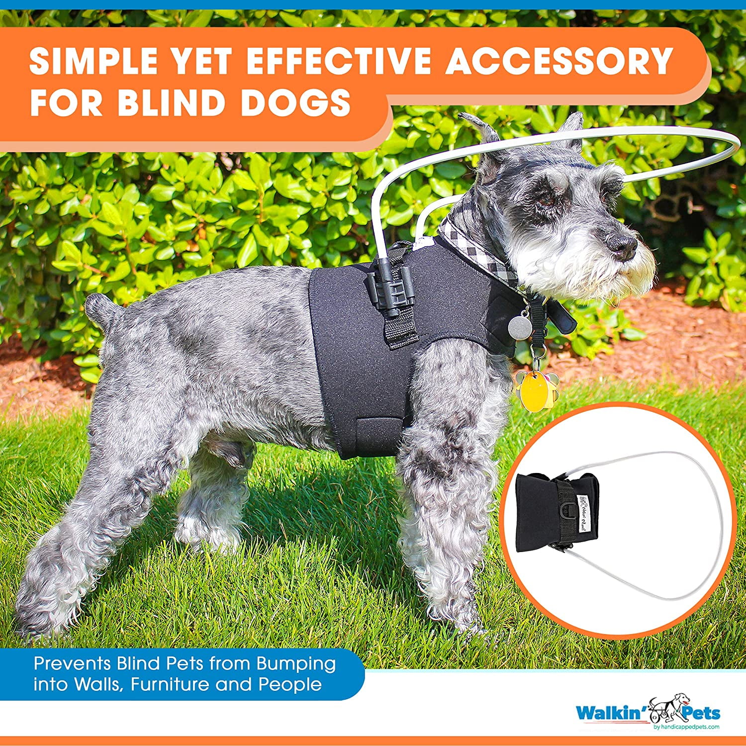 blind dog halo walmart