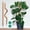 35in * 2, variant on Moss Pole Monstera Plant Support, 28in Bendable & Sturdy Plant Holder Stick for Pothos Vines, Philodendron, Fishbone Cactus & Indoor Tropical Houseplants, Made for Coco Coir