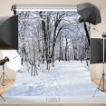 thumbnail image 1 of XDDJA Polyester Fabric 5x7ft White Snow Covered White Birch Photography Backdrop Winter Christmas Photo Background Studio Props, 1 of 2