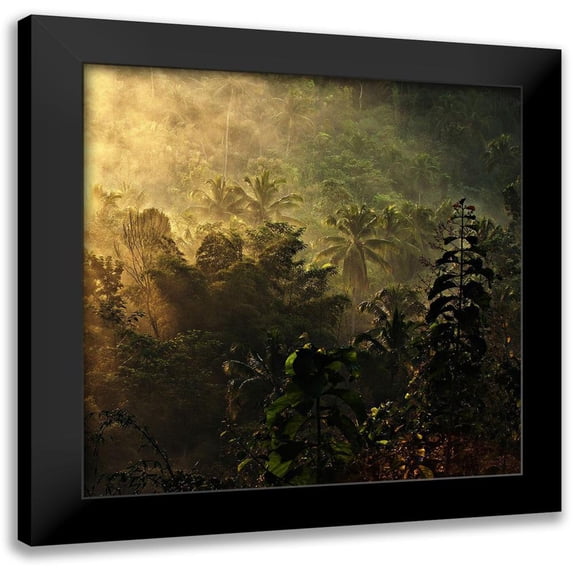Januar, Johanes 12x12 Black Modern Framed Museum Art Print Titled - the atmosphere of the morning .....