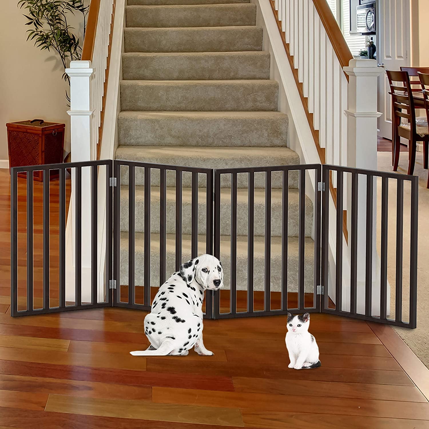 80 20 dog food pets at home